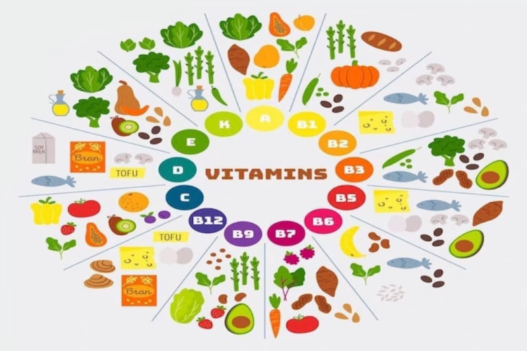 vitaminler ve vitamin çeşitleri